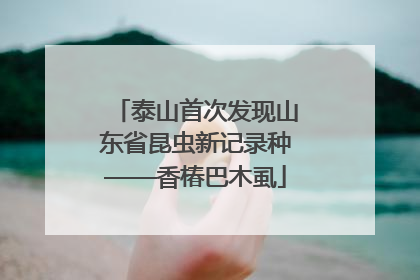 泰山首次发现山东省昆虫新记录种——香椿巴木虱